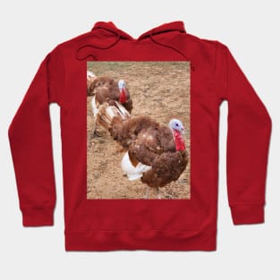 Turkeys Hoodie